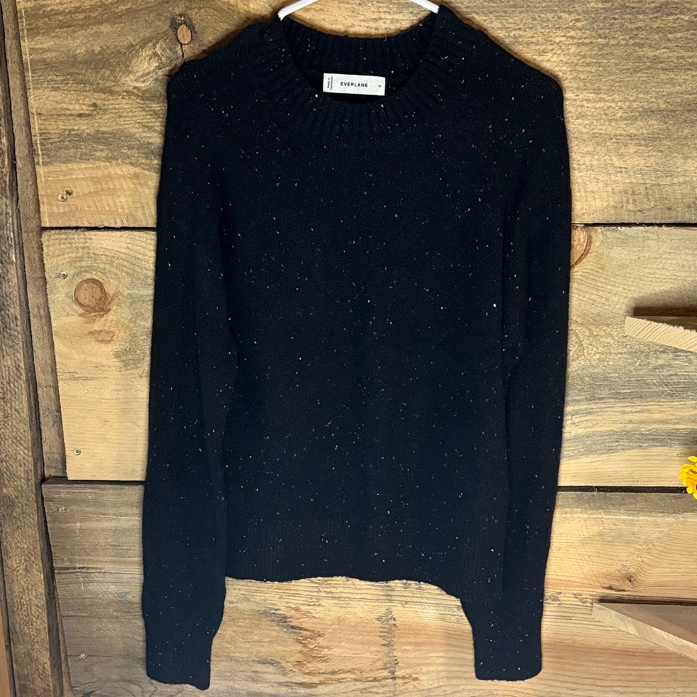 Everlane Speckled Black Sweater